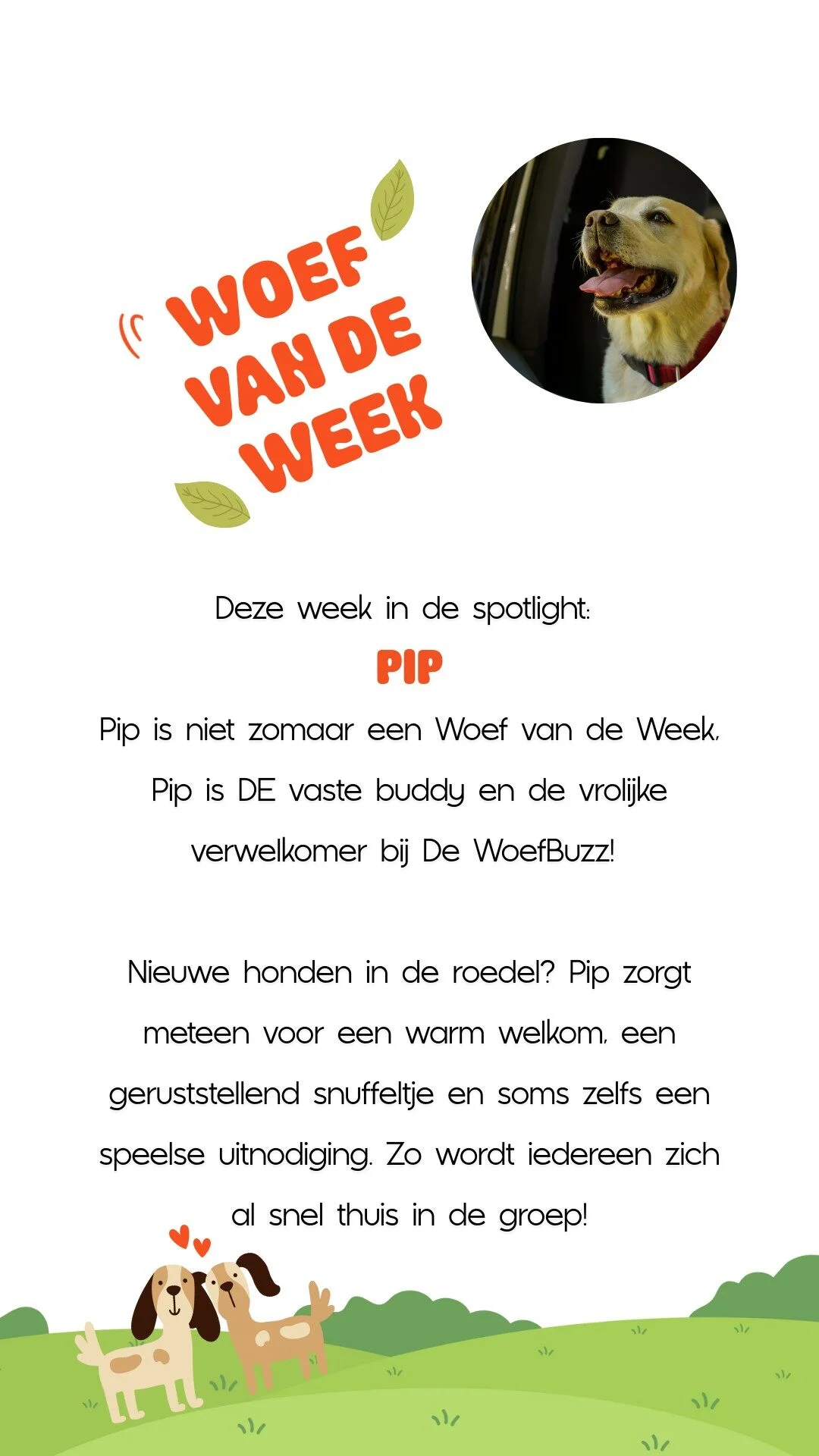 Week 33_ Woef van de Week (2)