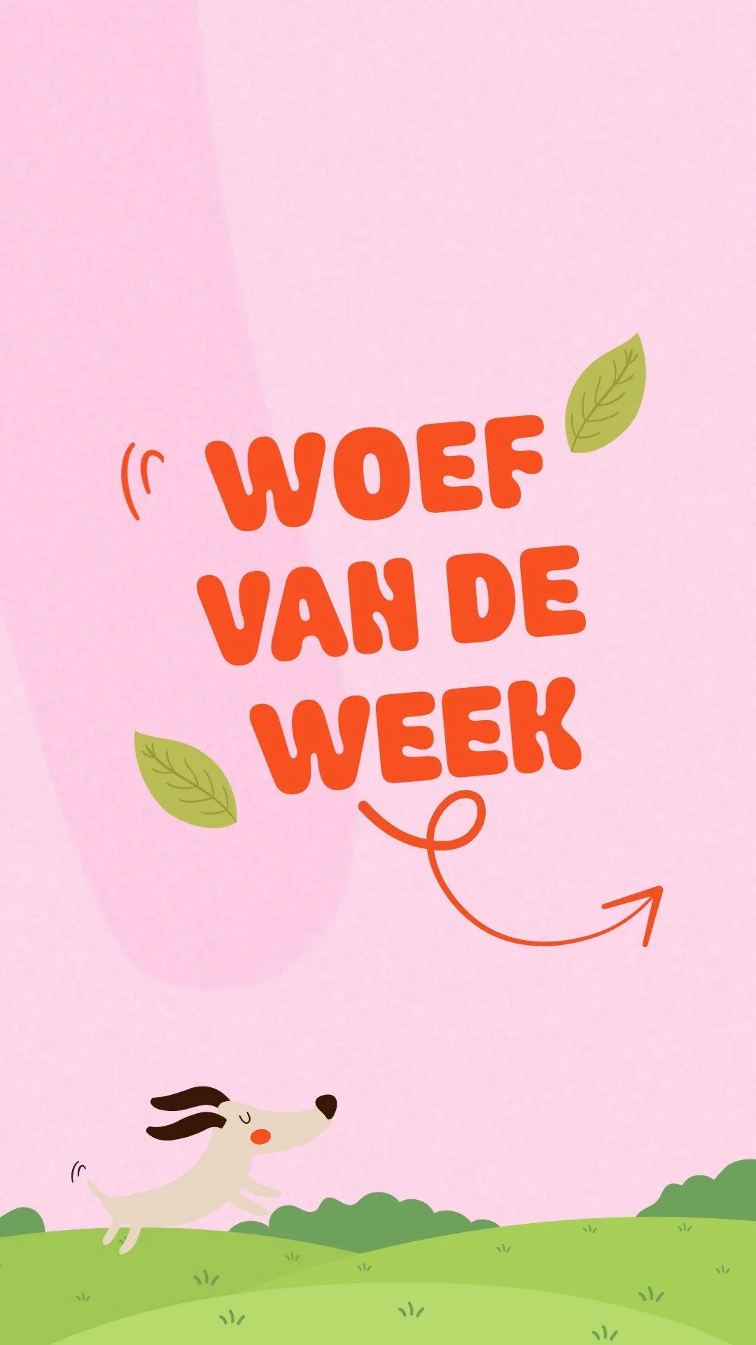 Week 34_ Woef van de Week